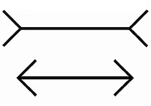 Abbildung 2: Welcher Strich ist länger? System 1 urteilt schnell und manchmal falsch. System 2 misst alles genau, liegt häufig richtig und braucht (zu) viel Zeit und Energie. [2]